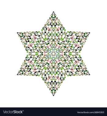 Geometrical colorful petal ornament star symbol vector image Geometrical colorful petal ornament star symbol vector image