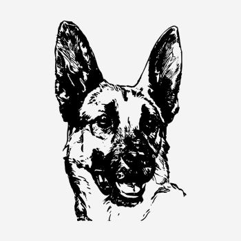 German Shepherd dog hand drawn | Free Photo - rawpixel