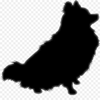 German Spitz Klein Pomeranian Schipperke Puppy - pomeranian pennant 