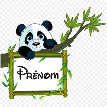 Giant panda Bear Sticker Image Decal - bear Giant panda Bear Sticker Image Decal - bear