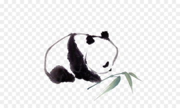 Giant panda Red panda Drawing Painting Sketch - panda 