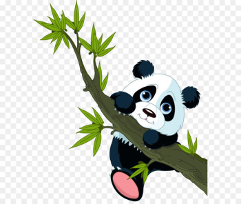 Giant panda Sticker Wall decal Red panda - panda 