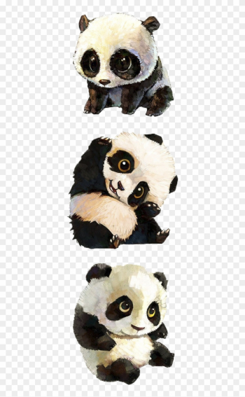 Giant Panda Tibetan Mastiff Red Panda Baby Pandas Bear - Baby Panda Drawing Giant Panda Tibetan Mastiff Red Panda Baby Pandas Bear - Baby Panda Drawing