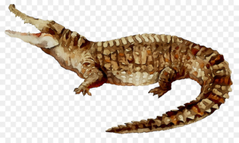 Gila monster Gecko Fauna Dinosaur Crocodiles -  