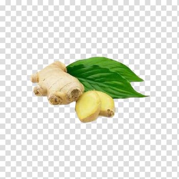 Ginger Alternative Health Services Medicine Therapy Pharmaceutical drug, Ginger,Ginger leaves,cold,plant transparent background PNG clipart