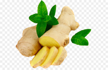 Ginger Icon Download - Ginger PNG Ginger Icon Download - Ginger PNG