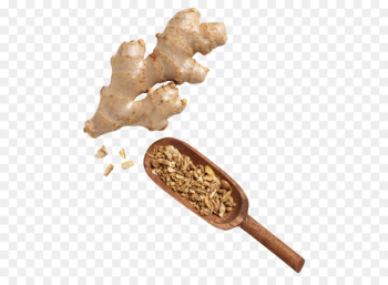Ginger tea Ginger ale Ginger beer - tea Ginger tea Ginger ale Ginger beer - tea