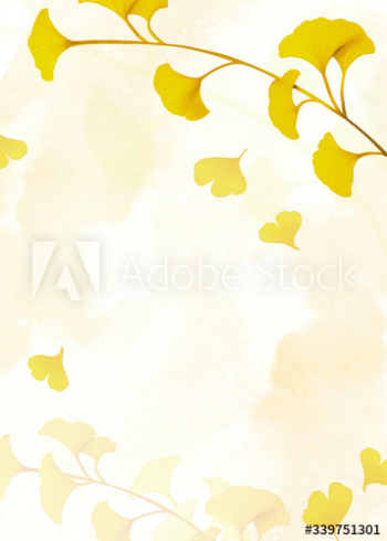 Gingko leaf background Gingko leaf background
