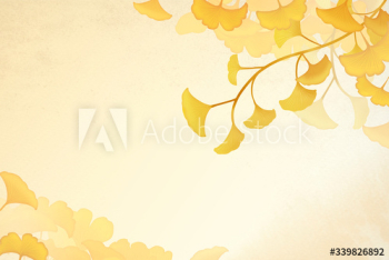 Gingko leaf background Gingko leaf background
