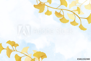 Gingko leaf background Gingko leaf background
