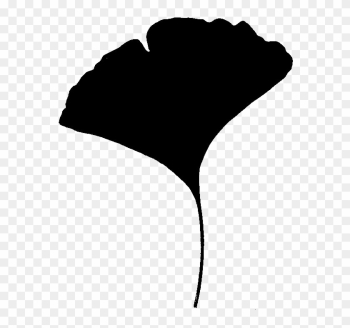 Gingko Trees - Ginkgo Leaf Silhouette Gingko Trees - Ginkgo Leaf Silhouette