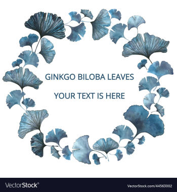 ginkgo biloba leaves background for text watercol ginkgo biloba leaves background for text watercol