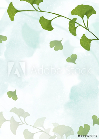 Ginkgo leaf background Ginkgo leaf background
