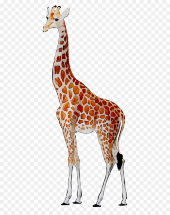Giraffe Deer Neck Fauna Pattern - Giraffe Deer Neck Fauna Pattern -