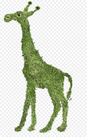 Giraffe Download - Fairy giraffe Giraffe Download - Fairy giraffe