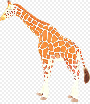 giraffe giraffidae terrestrial animal animal figure wildlife giraffe giraffidae terrestrial animal animal figure wildlife