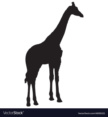 giraffe silhouette giraffe silhouette