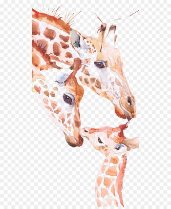 Giraffe Watercolor painting Art Drawing - giraffe Giraffe Watercolor painting Art Drawing - giraffe