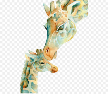 Giraffe Watercolor painting Drawing - giraffe Giraffe Watercolor painting Drawing - giraffe