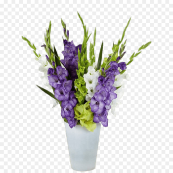 Gladiolus, Bulb, Hirts Gardens, Flower, Flowering Plant PNG