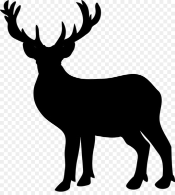 Gladstone, Woodlands, Black White M, Reindeer, Elk PNG
