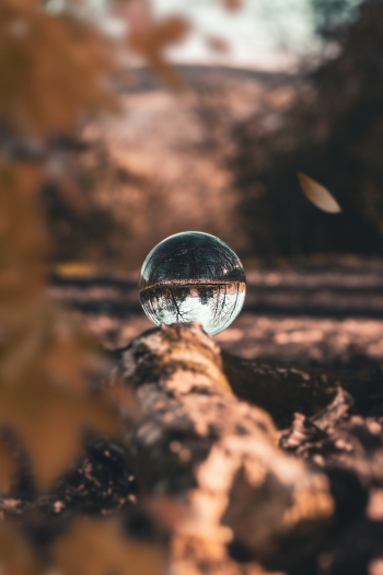 Glass Ball on Wood Glass Ball on Wood