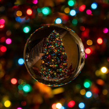 Glass Bauble Reflecting Christmas Tree Glass Bauble Reflecting Christmas Tree
