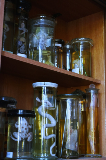 Glass Containers Glass Containers