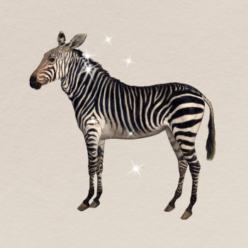 Glittery zebra clipart, surreal animal | Free Photo - rawpixel Glittery zebra clipart, surreal animal | Free Photo - rawpixel