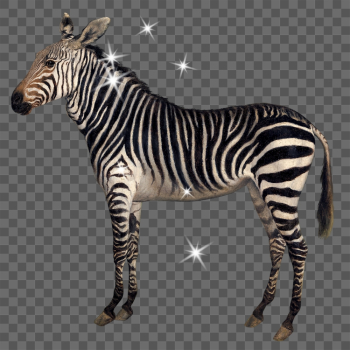 Glittery zebra png sticker, surreal | Free PNG - rawpixel Glittery zebra png sticker, surreal | Free PNG - rawpixel