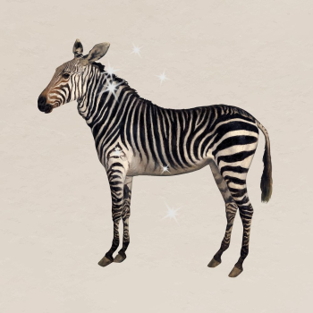 Glittery zebra sticker, surreal animal | Free Vector - rawpixel Glittery zebra sticker, surreal animal | Free Vector - rawpixel