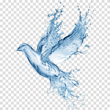 Glossolalia Seven gifts of the Holy Spirit Pentecostalism Confirmation in the Catholic Church, others transparent background PNG clipart