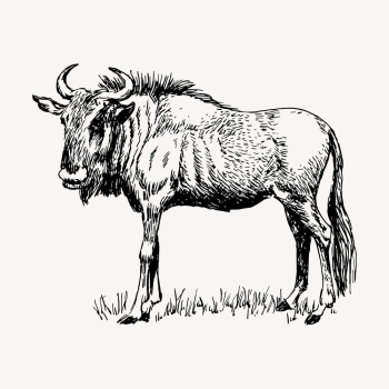 Gnu bull clipart, vintage animal | Free Vector - rawpixel