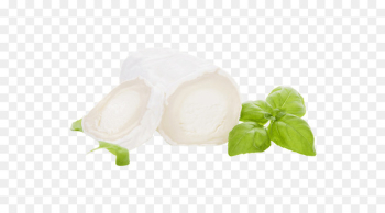 Goat cheese Goat milk - milk Goat cheese Goat milk - milk