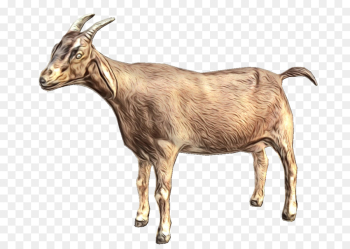 Goat, Desktop Wallpaper, Computer Icons, Goats PNG