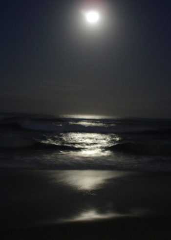 Gold Coast Moon 3.jpg Gold Coast Moon 3.jpg