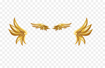Gold - Golden wings Gold - Golden wings