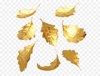 Gold leaf 3D computer graphics - others Gold leaf 3D computer graphics - others
