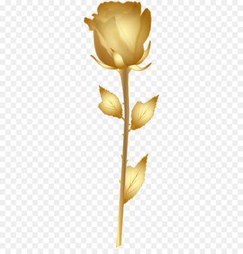 Gold Rose Clip art - Beautiful Gold Rose PNG Clip Art Image Gold Rose Clip art - Beautiful Gold Rose PNG Clip Art Image