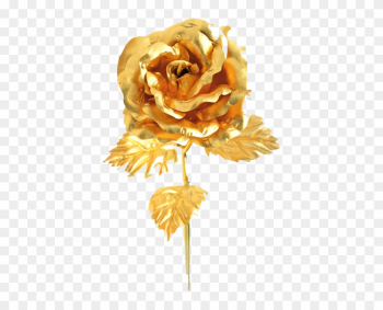 Gold Rose - Golden Rose Png