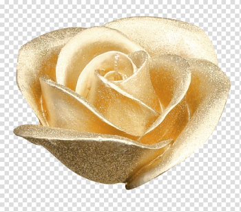 Gold rose illustration, Garden roses Flower Gold, Pretty Golden Rose transparent background PNG clipart