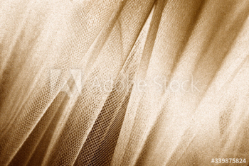 Gold snakeskin fabric texture Gold snakeskin fabric texture