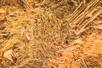 Gold textured background Gold textured background