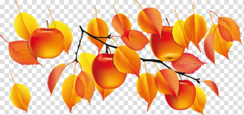 Golden Autumn , autumn transparent background PNG clipart Golden Autumn , autumn transparent background PNG clipart