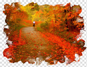 Golden Autumn Centerblog Season, autumn transparent background PNG clipart Golden Autumn Centerblog Season, autumn transparent background PNG clipart