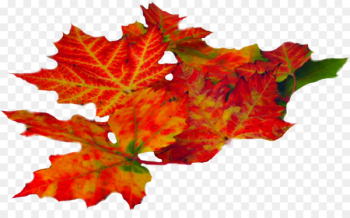 Golden Autumn Clip art Watercolor painting Portable Network Graphics - autumn 