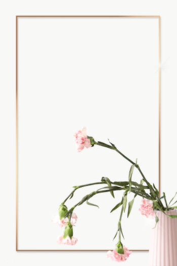 Golden frame and pink carnations in a pink vase design element | Free  transparent png - 2335009