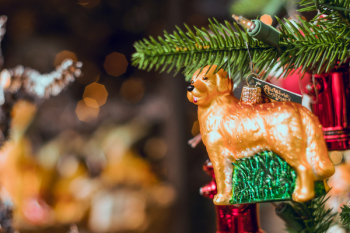 Golden Retriever Christmas Ornament Golden Retriever Christmas Ornament