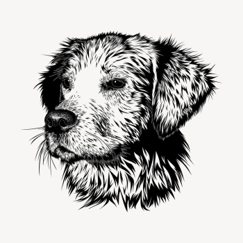 Golden Retriever dog hand drawn, | Free Vector - rawpixel