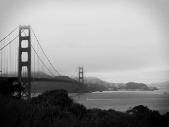 Golden State Grey Haze Golden State Grey Haze